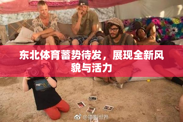 东北体育蓄势待发，展现全新风貌与活力