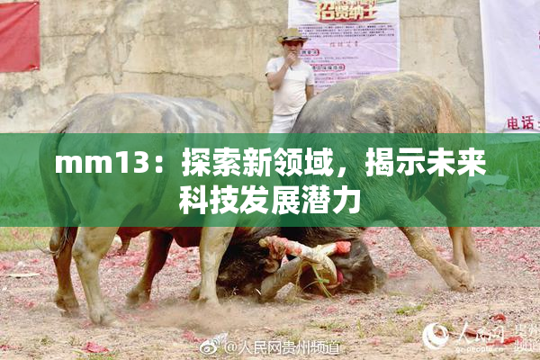 mm13：探索新领域，揭示未来科技发展潜力