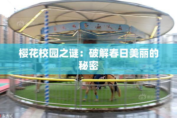 樱花校园之谜：破解春日美丽的秘密