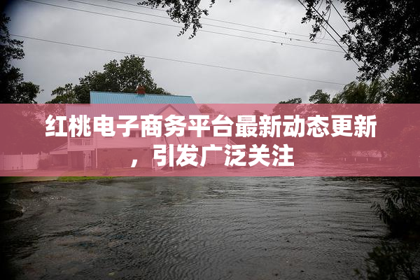 红桃电子商务平台最新动态更新，引发广泛关注