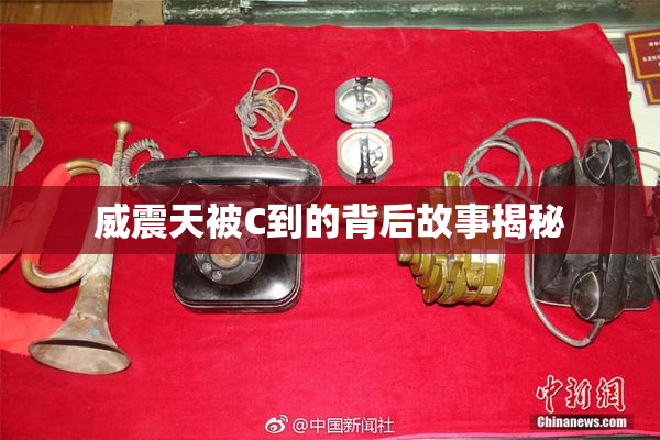 威震天被C到的背后故事揭秘