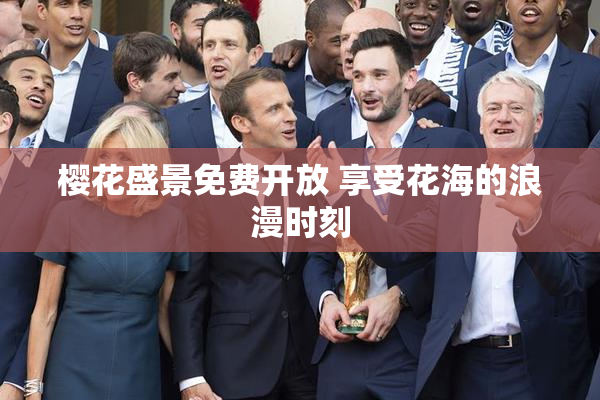 樱花盛景免费开放 享受花海的浪漫时刻