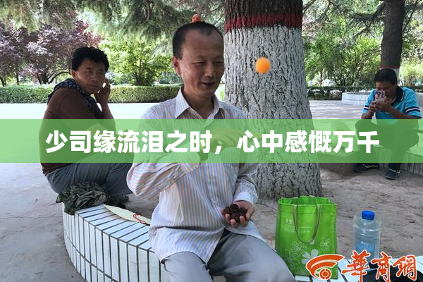 少司缘流泪之时，心中感慨万千