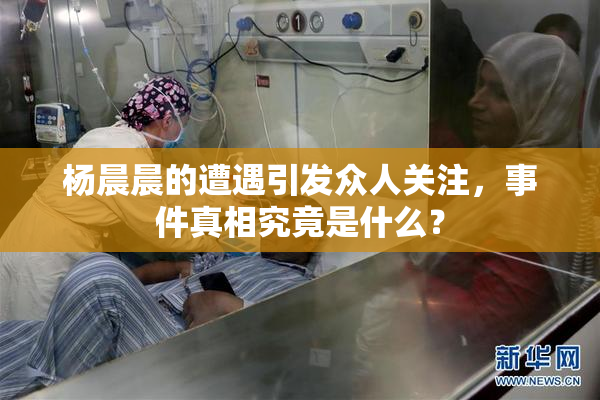 杨晨晨的遭遇引发众人关注，事件真相究竟是什么？