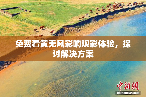 免费看黄无风影响观影体验，探讨解决方案