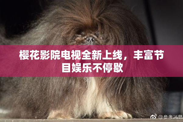 樱花影院电视全新上线，丰富节目娱乐不停歇