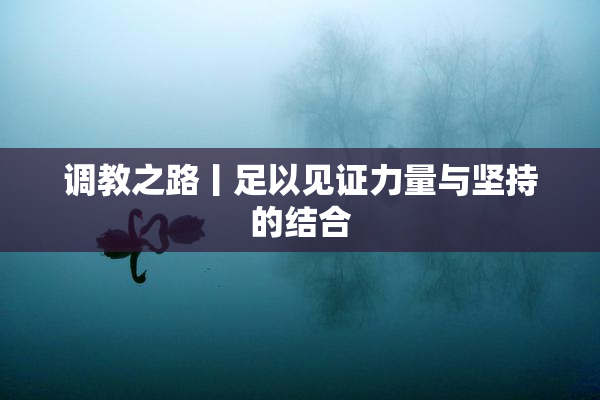 调教之路丨足以见证力量与坚持的结合