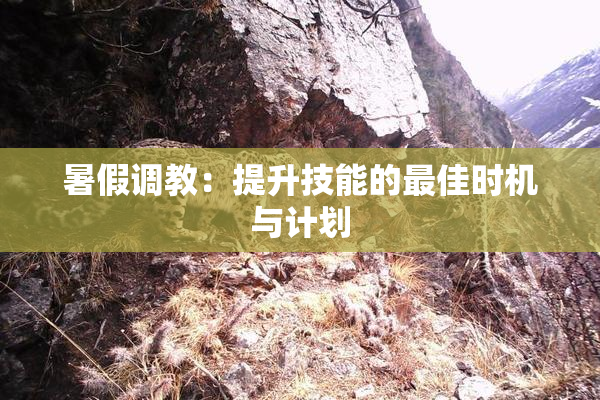 暑假调教：提升技能的最佳时机与计划