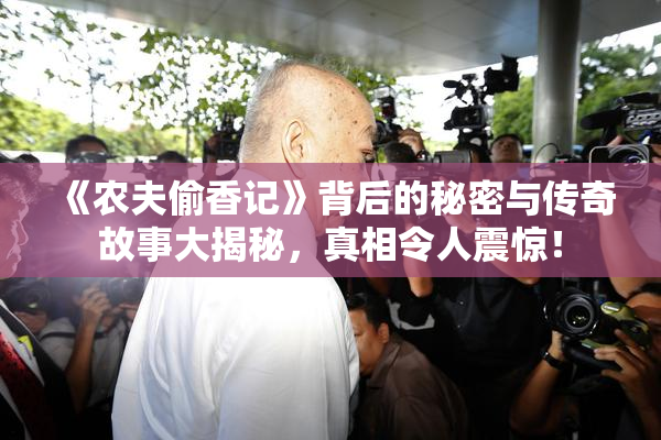 《农夫偷香记》背后的秘密与传奇故事大揭秘，真相令人震惊！