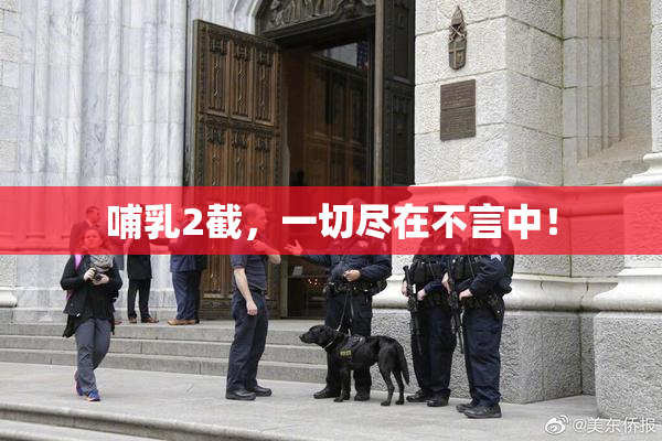 哺乳2截，一切尽在不言中！