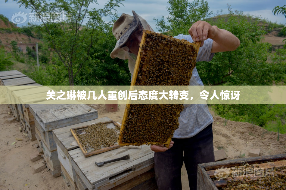 关之琳被几人重创后态度大转变，令人惊讶