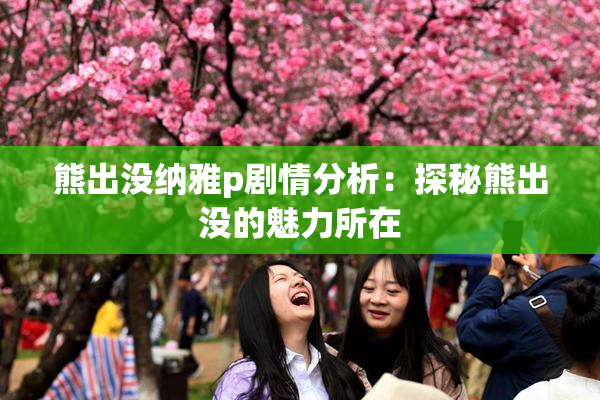 熊出没纳雅p剧情分析：探秘熊出没的魅力所在