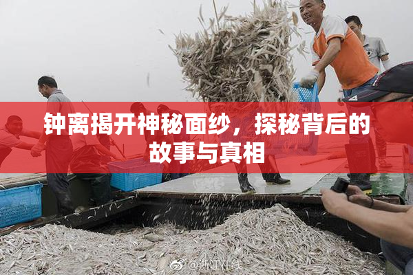 钟离揭开神秘面纱，探秘背后的故事与真相
