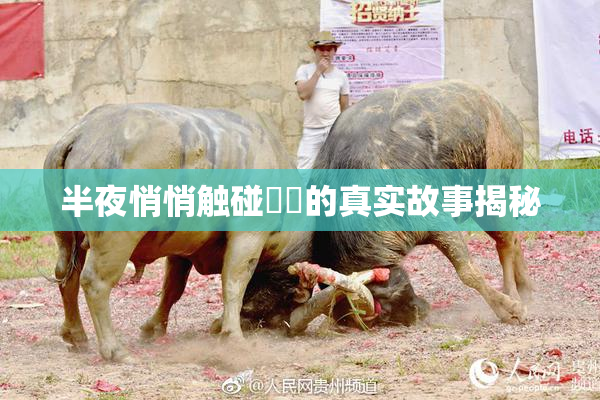 半夜悄悄触碰妺妺的真实故事揭秘