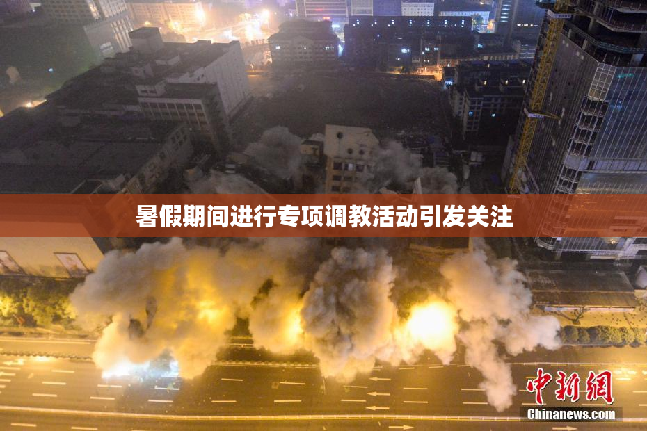 暑假期间进行专项调教活动引发关注