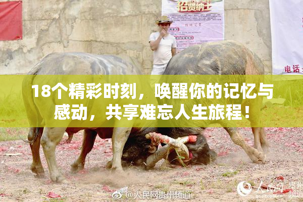 18个精彩时刻，唤醒你的记忆与感动，共享难忘人生旅程！
