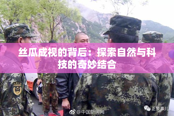丝瓜成视的背后：探索自然与科技的奇妙结合