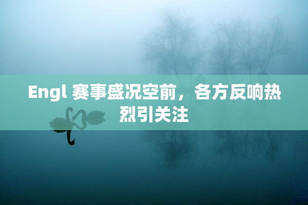 Engl 赛事盛况空前，各方反响热烈引关注