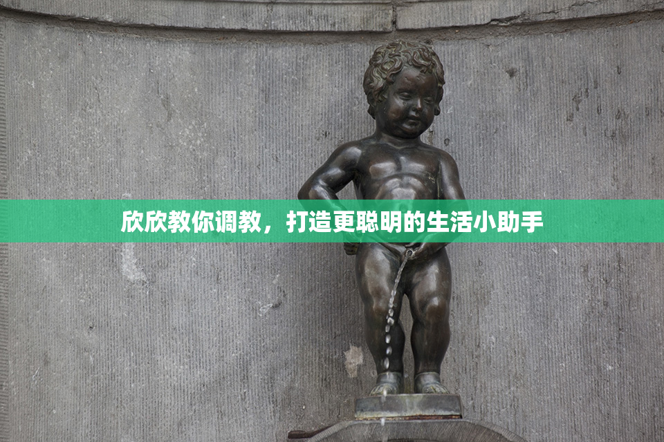 欣欣教你调教，打造更聪明的生活小助手