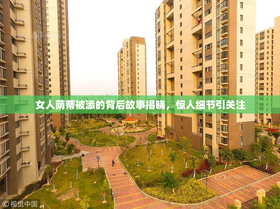 女人荫蒂被添的背后故事揭晓，惊人细节引关注