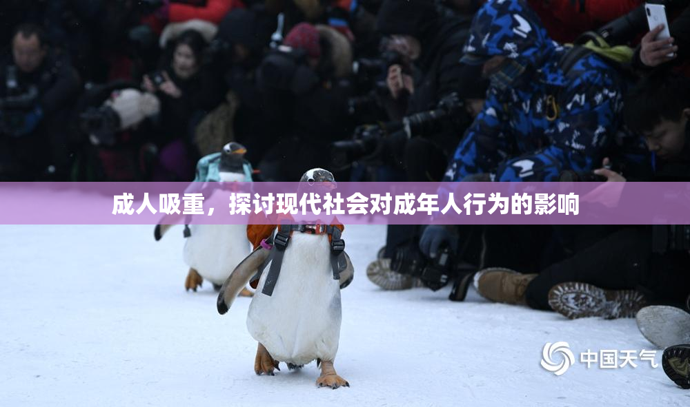 成人吸重，探讨现代社会对成年人行为的影响
