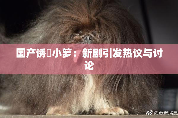 国产诱奷小箩：新剧引发热议与讨论