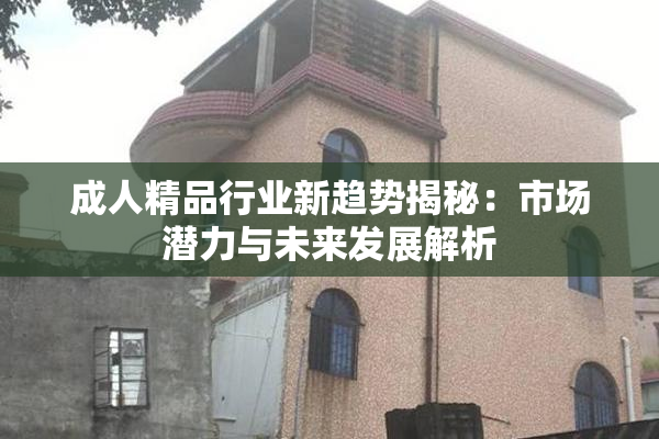 成人精品行业新趋势揭秘：市场潜力与未来发展解析