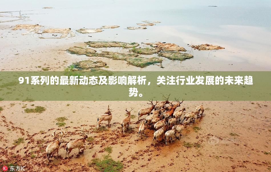 91系列的最新动态及影响解析，关注行业发展的未来趋势。