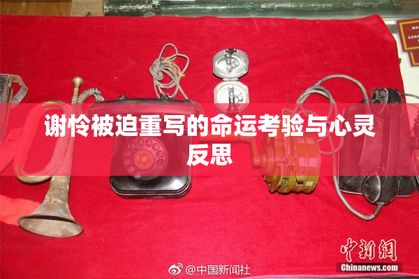 谢怜被迫重写的命运考验与心灵反思
