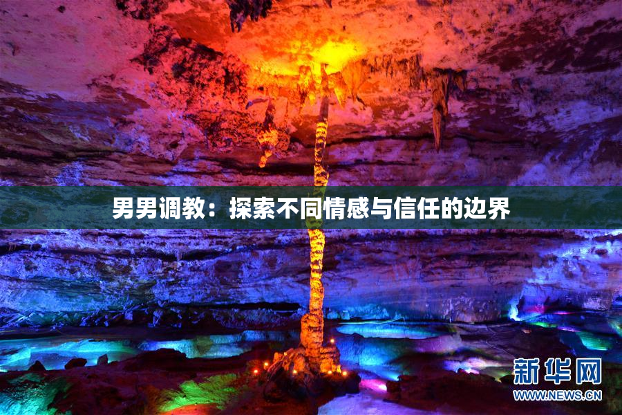 男男调教：探索不同情感与信任的边界
