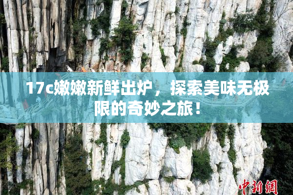 17c嫩嫩新鲜出炉，探索美味无极限的奇妙之旅！