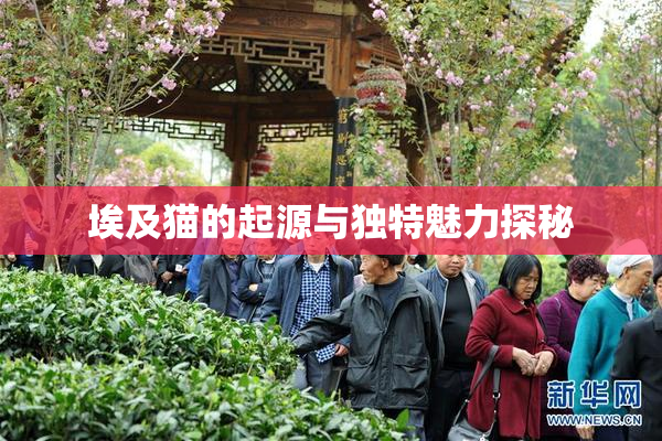 埃及猫的起源与独特魅力探秘
