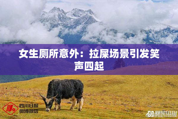 女生厕所意外：拉屎场景引发笑声四起