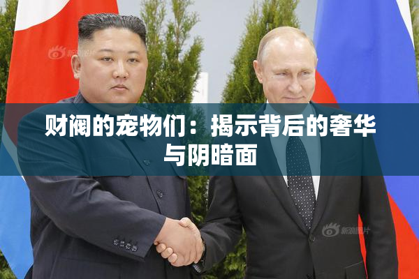 财阀的宠物们：揭示背后的奢华与阴暗面