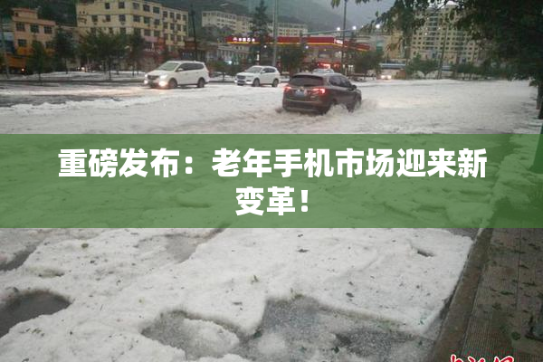重磅发布：老年手机市场迎来新变革！