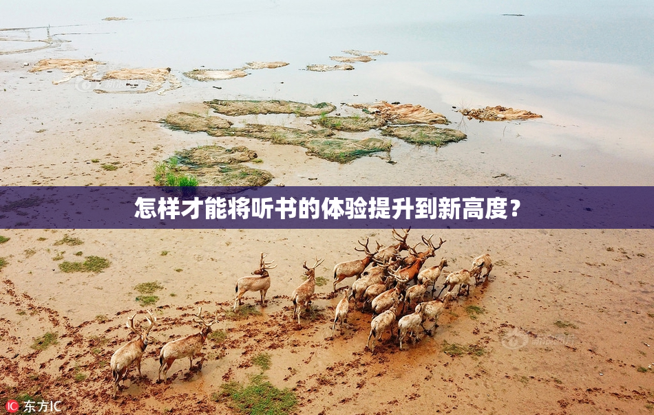 怎样才能将听书的体验提升到新高度？