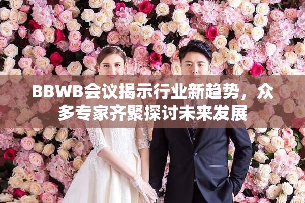 BBWB会议揭示行业新趋势，众多专家齐聚探讨未来发展