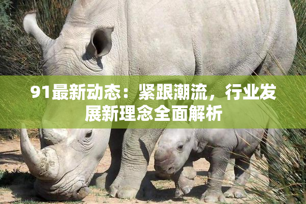 91最新动态：紧跟潮流，行业发展新理念全面解析
