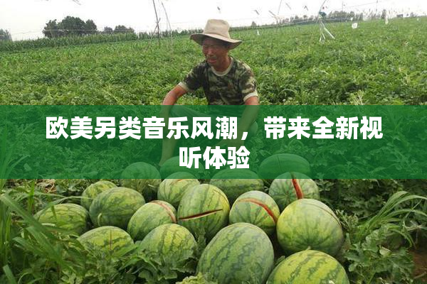 欧美另类音乐风潮，带来全新视听体验