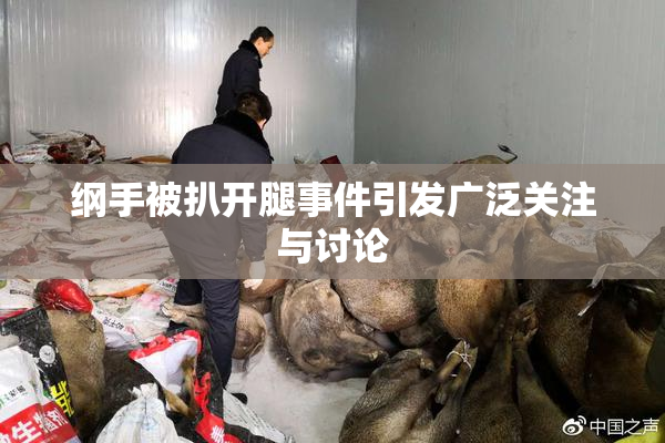 纲手被扒开腿事件引发广泛关注与讨论