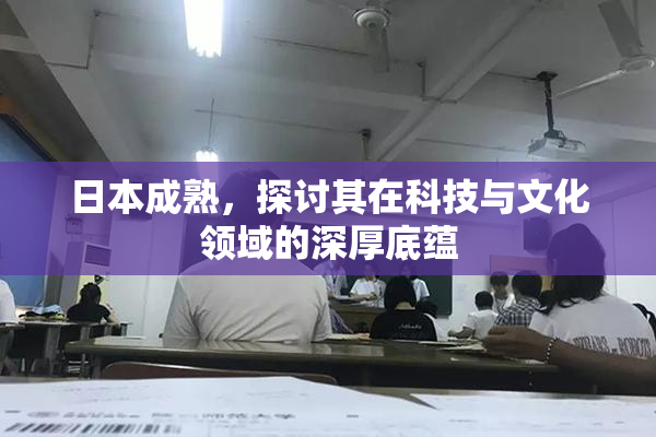 日本成熟，探讨其在科技与文化领域的深厚底蕴