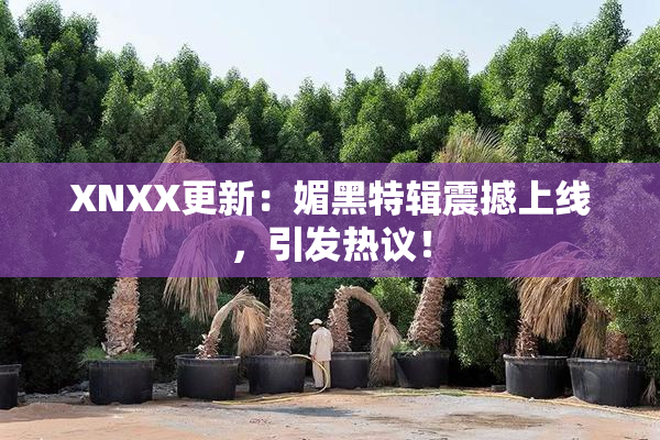 XNXX更新：媚黑特辑震撼上线，引发热议！