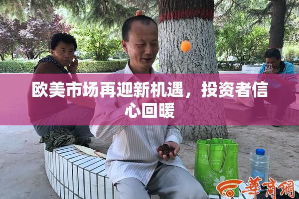 欧美市场再迎新机遇，投资者信心回暖