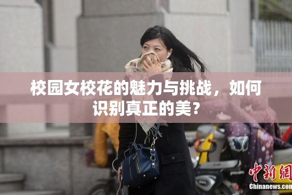 校园女校花的魅力与挑战，如何识别真正的美？