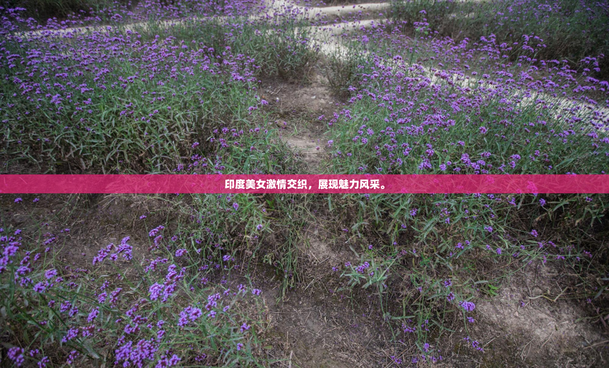 印度美女激情交织，展现魅力风采。