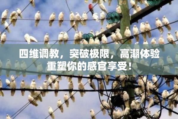 四维调教，突破极限，高潮体验重塑你的感官享受！