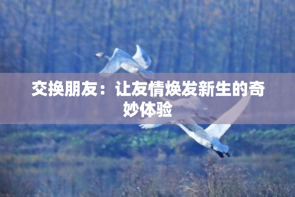 交换朋友：让友情焕发新生的奇妙体验