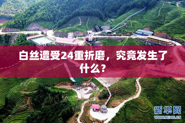 白丝遭受24重折磨，究竟发生了什么？