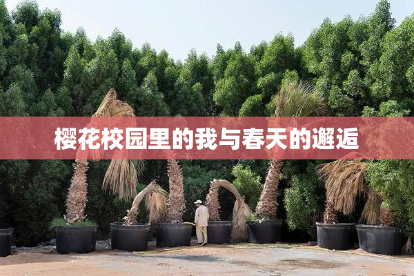 樱花校园里的我与春天的邂逅
