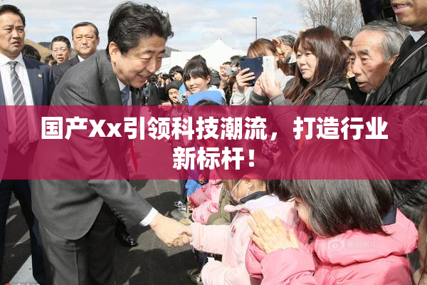 国产Xx引领科技潮流，打造行业新标杆！